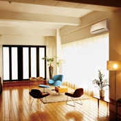 Gallery Image Number 7