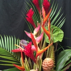 Hana Tropicals