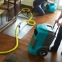 Tanin Carpet Cleaning Water