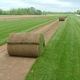 Hamilton Sod LLC