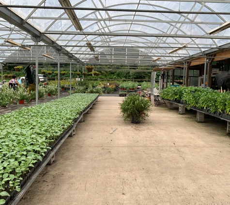 Westchester Greenhouses - Hartsdale, NY