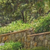 Gallery Image Number 3