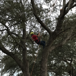 KDT Tree Service - Fern Park, FL