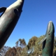 Birch Aquarium At Scripps