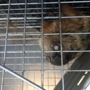 Homestead Wildlife Control - Pest Control Equipment & Supplies