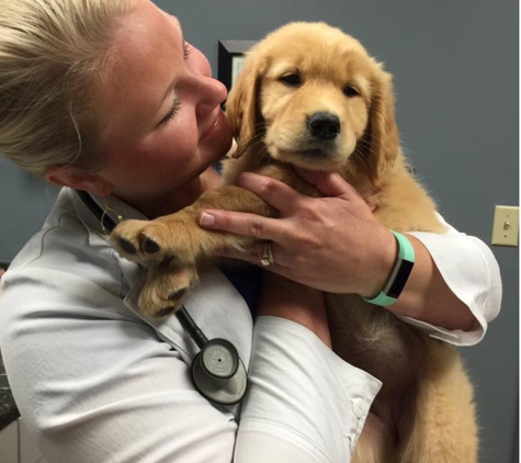 Forest HIll Animal Hospital - Germantown, TN