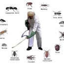 Ace Pest Control - Pest Control Services