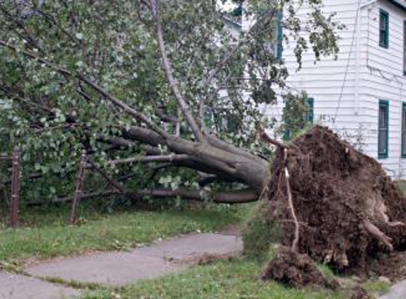 Gillum's Tree Service - Chillicothe, OH