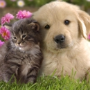 Providence Veterinary Hospital - Veterinary Clinics & Hospitals