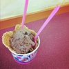 Baskin Robbins gallery