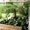 Tropical Tree Services gallery