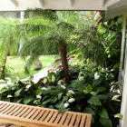 Tropical Tree Services