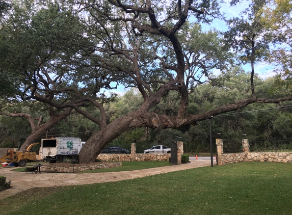 The Tree Guy - San Antonio, TX