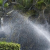 Amazing Blades Landscaping gallery
