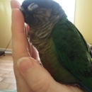 The Jungle Exotic Pets & Live Bait - Pet Stores