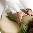 Well Adjusted Chiropractic - Chiropractors & Chiropractic Services