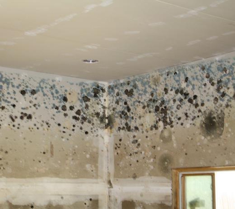 A-1 Environmental Water & Mold  Restorations - Leasburg, NC