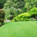 Great Care Lawn Service - Landscaping & Lawn Services