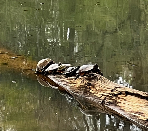 Dunbar Cave State Park - Clarksville, TN