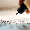 Hennebry Pest Solutions gallery