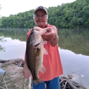Fishtales - Fishing Bait