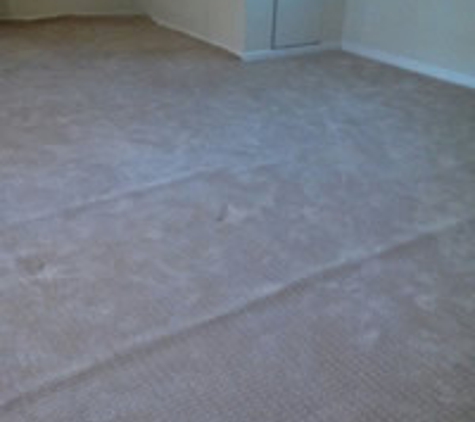 AGS: Sound carpet repair services - Puyallup, WA