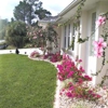 Austin Area Landscaping gallery