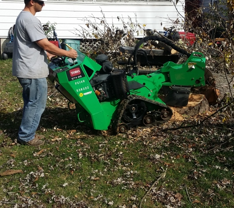 BranchWalker Tree Service - New Albany, IN