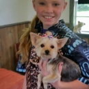 Doghouse Grooming - Pet Grooming