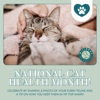 Millbrae Pet Hospital gallery