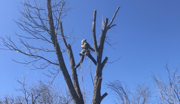 Blue Thunder Tree Service - Georgetown, TX