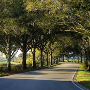 Villas of Grand Cypress - Orlando, FL