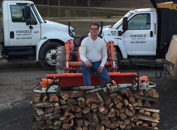 VOEGELE TREE SERVICE - Conway, AR