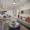 Noria Robson Luxury Apartments gallery