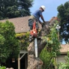 Sacramento Valley Tree Services, Inc. gallery