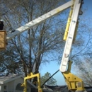 Mid-Florida Tree Service, Inc. - Tree Service