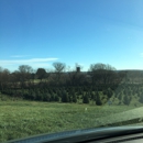 Valley View Tree Farm - Christmas Trees