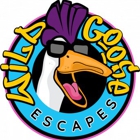 Wild Goose Escapes