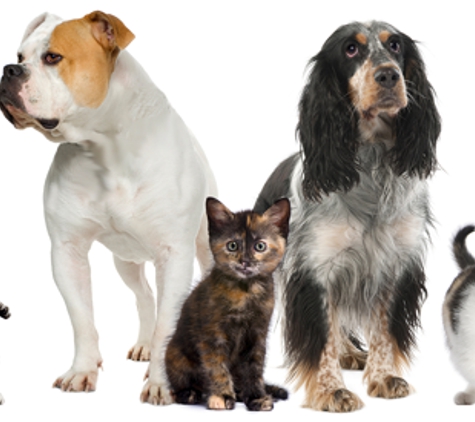 Abundant Animal Care and Veterinary Hospital - Canton, GA