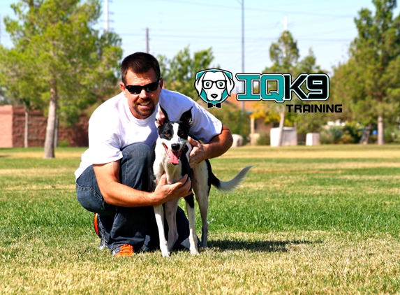 IQ K9 Training - Oceanside, CA