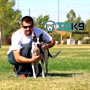 IQ K9 Training