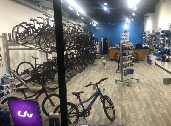 Giant Bicycle - Rehoboth Beach, DE. This store is located just off the Junction & Breakwater Trail in Rehoboth. Conveniently located at intersection of Rt. 1 and Rehoboth Ave.