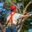 J & L Tree Service - Arborists