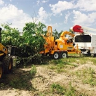 Arbor Master Tree Service