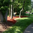 Powell Property Maintenance & Tree Service