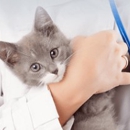 Veterinarians To Cats - Pet Services