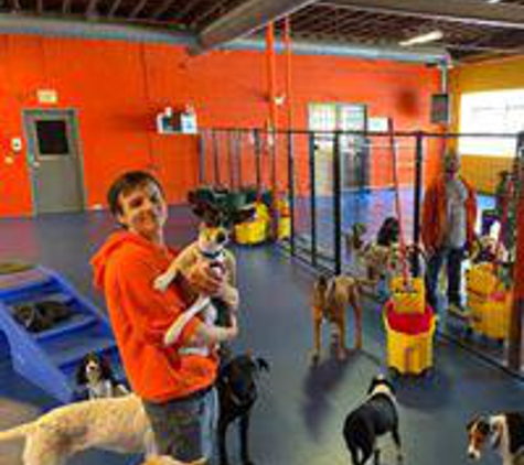 Urban Pooch Training and Fitness Center - Chicago, IL