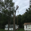 Bill's Tree Service - Tree Service