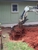 A & A Plumbing Co - Plumbing-Drain & Sewer Cleaning