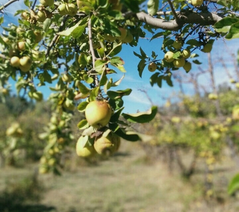 Apple Hill - Placerville, CA